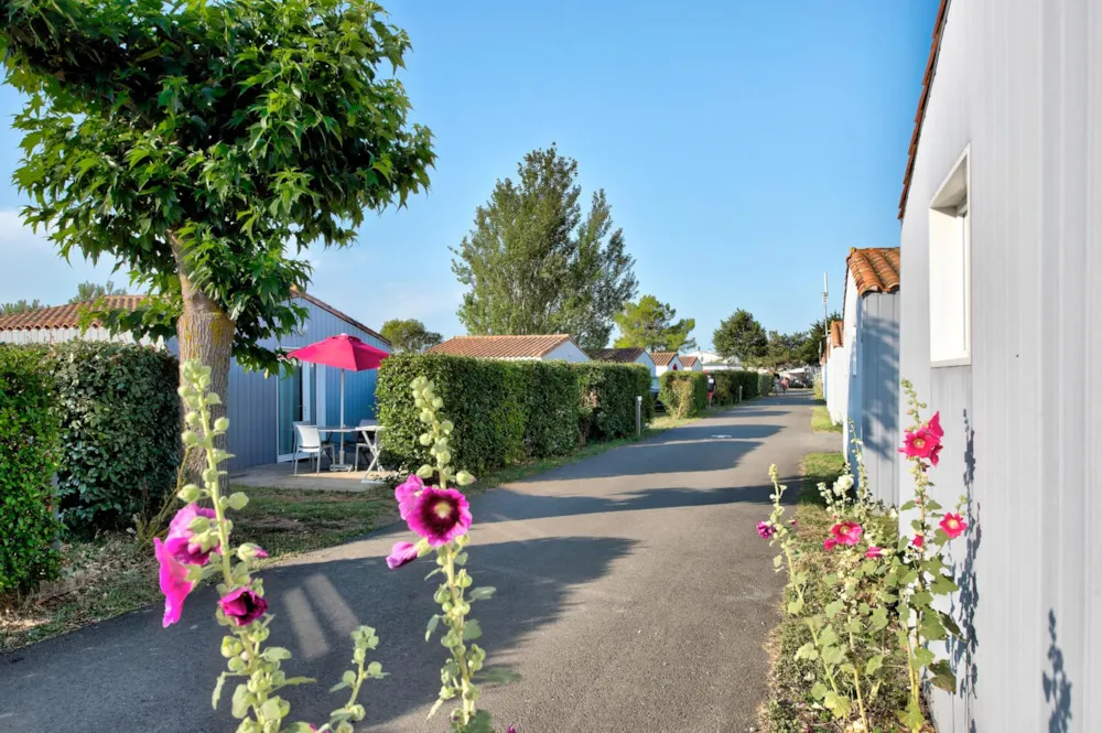 Flower Camping Les Ilates - image n°6 - Camping Direct
