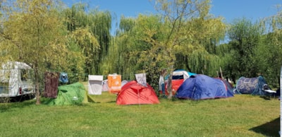 Pitches Confort Plus (electricity 16A + water)