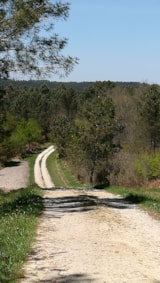 Foto #55 van Flower Camping La Dordogne Verte