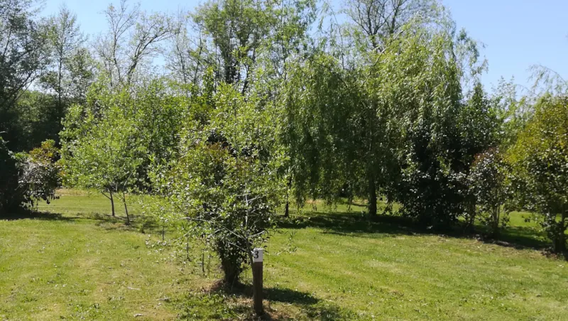 Emplacement Privilège Bord De Rivière (Électricité 16A + Eau + Frigo + Table)