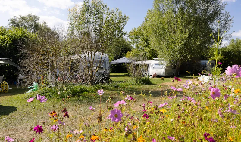 Emplacement Privilège Bord De Rivière (Électricité 16A + Eau + Frigo + Table)