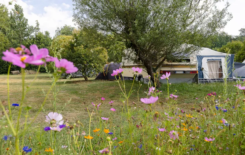 Emplacement Confort Plus (Électricité 16A + Eau)
