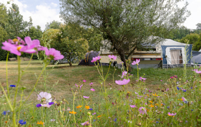 Pitches Confort Plus (electricity 16A + water)