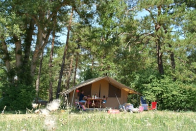 Camping L'Hirondelle France *****
