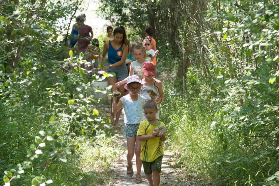 Camping L'Hirondelle France *****