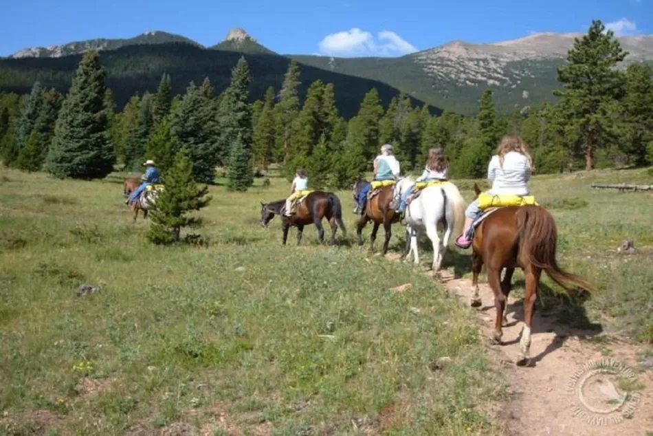 Camping L'Hirondelle France *****