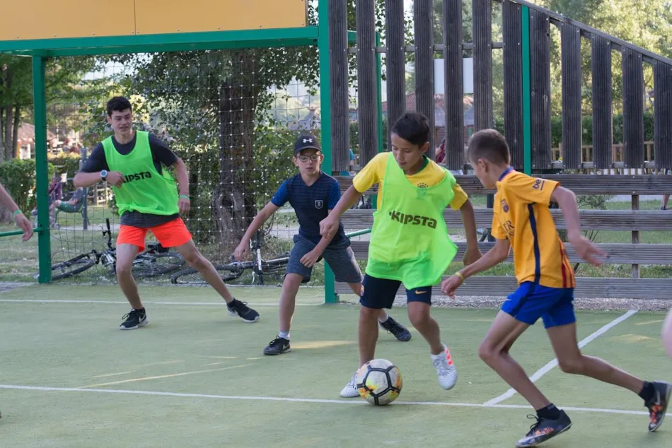 Camping L'Hirondelle France *****