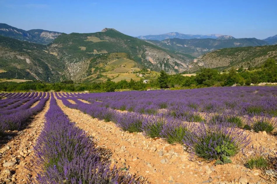 Camping L'Hirondelle France *****