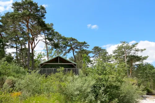 Location - Lodge Castor Premium (Côté Rivière) N° 88, 119, 121, 170, 176, 177 - - image n°2 - Camping L'Hirondelle France *****