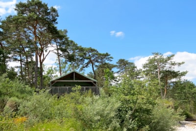 Lodge CASTOR PREMIUM (river side) nr 88, 119, 121, 170, 176, 177 -