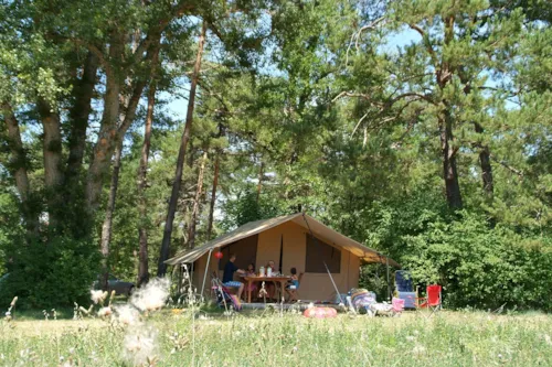 Location - Cotton Lodge N° 69, 71, 72, 75, - image n°1 - Camping L'Hirondelle France *****