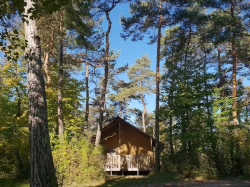 Accommodation - Lodge Woody Nr 6, 7, 11, 63, 64, 65 - - image n°2 - Camping L'Hirondelle France *****