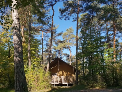Lodge WOODY nr 6, 7, 11, 63, 64, 65 -