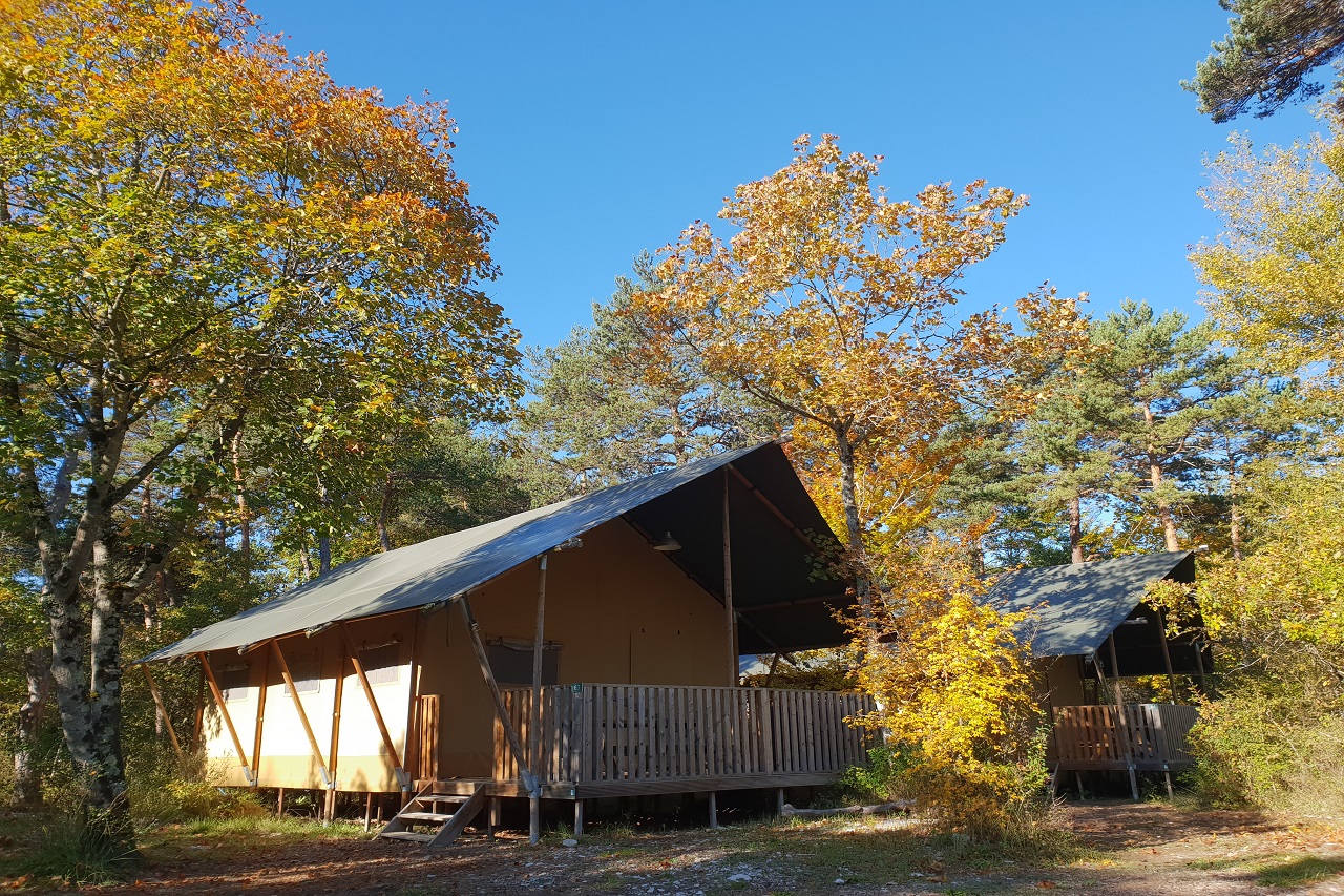 Mietunterkunft - Lodge Woody Nr 6, 7, 11, 63, 64, 65 - - Camping L'Hirondelle