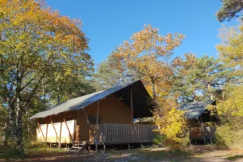 Mietunterkunft - Lodge Woody Nr 6, 7, 11, 63, 64, 65 - - Camping L'Hirondelle France *****