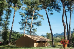 Locatif - FOREST Lodge DELUXE (uitzicht op de velden & privé badkamer) nr. 136 tot 150 - - Camping L'Hirondelle France *****