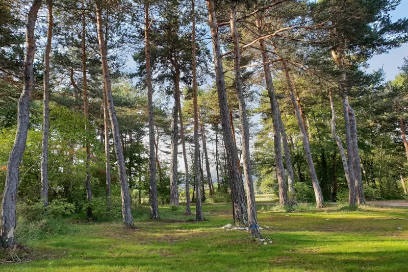 Forfait Emplacement Standard, Personnes Et Électricité En Supplément