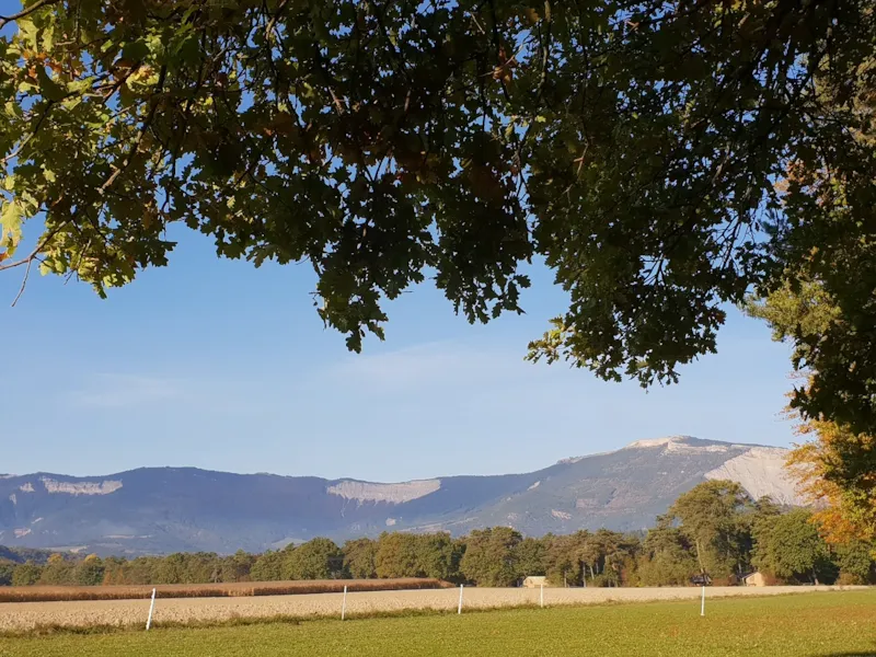 Forfait Emplacement Deluxe (Vue Champ Et Sanitaire Privé), Personnes Et Électricité En Supplément