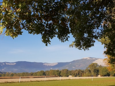 DELUXE Pitch PACKAGE (field view and private sanitary), person and electricity extra