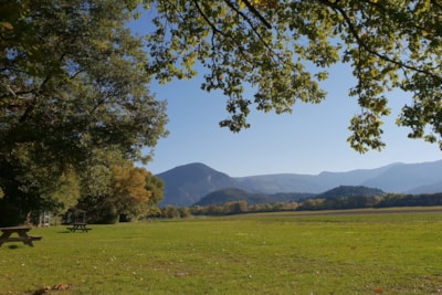 Chalet NEVA PREMIUM (field view) nr 8, 18, 19 -