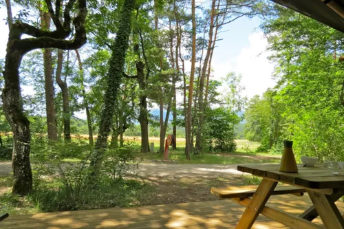 Location - Lodge Forest N° 24, 28, 57, 60, 62, 108, 126, 166, 166-1, 179, 179-1- - image n°2 - Camping L'Hirondelle France *****