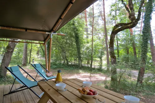 Location - Lodge Forest N° 24, 28, 57, 60, 62, 108, 126, 166, 166-1, 179, 179-1- - image n°3 - Camping L'Hirondelle France *****