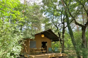 Locatif - FOREST Lodge n° 24, 28, 57, 60, 62, 108, 126, 166, 166-1, 179, 179-1- - Camping L'Hirondelle France *****