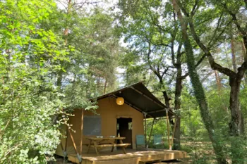 Mietunterkunft - Forest Lodge N° 24, 28, 57, 60, 62, 108, 126, 166, 166-1, 179, 179-1- - Camping L'Hirondelle France *****