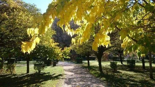 Forfait Tente + Vélo