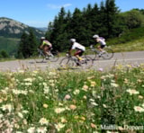 Foto #61 van Camping Le Ventadour