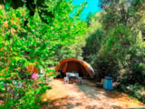 Foto #4 van Flower Camping La Marette