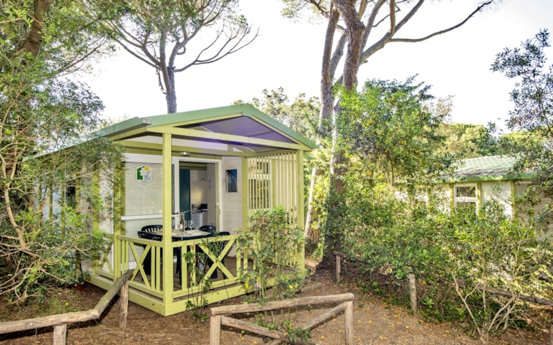 Cottage Petite Chambre - PetFriendly