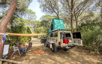 Stellplatz - Stellplatz Für Wohnmobil/Wohnwagen/Bus/Zeltklapphänger - Camping Maremma Sans Souci