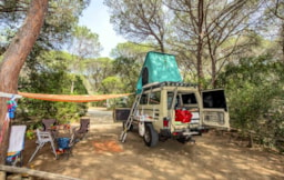 Parcela - Parcela Autocaravana/Caravana/Bus/Reboque Tenda - Camping Maremma Sans Souci