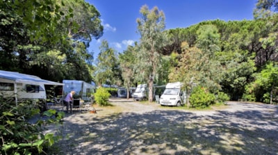PITCH FOR CAMPER/CARAVAN/BUS/TENT TRAILER — 2
