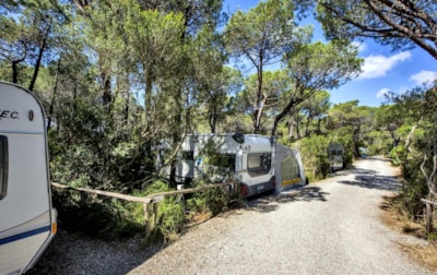 PITCH FOR CAMPER/CARAVAN/BUS/TENT TRAILER — 3
