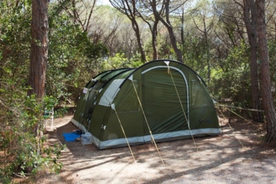 PITCH FOR TENT — 3