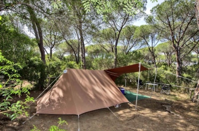PITCH FOR TENT — 1