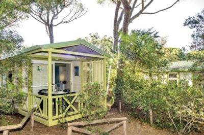 Cottage Club 5 - PetFriendly — 1