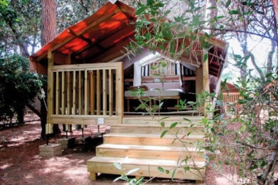 Mini Lodge Tent - DogFriendly — 3