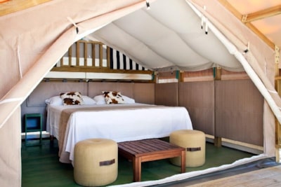 Mini Lodge Tent - DogFriendly — 5