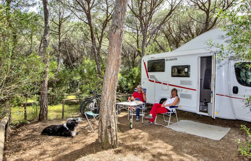 Emplacement Pour Camper/Caravan/Bus/Remorque Tente