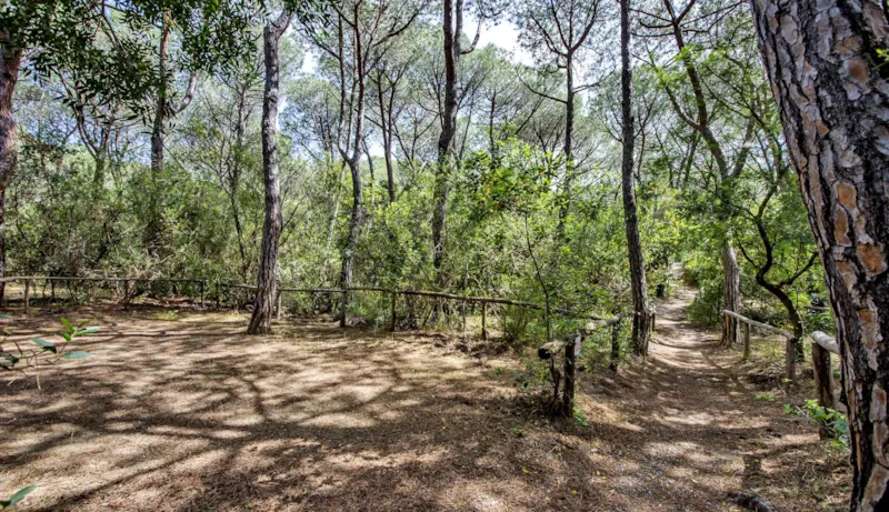 Emplacement Pour Camper/Caravan/Bus/Remorque Tente