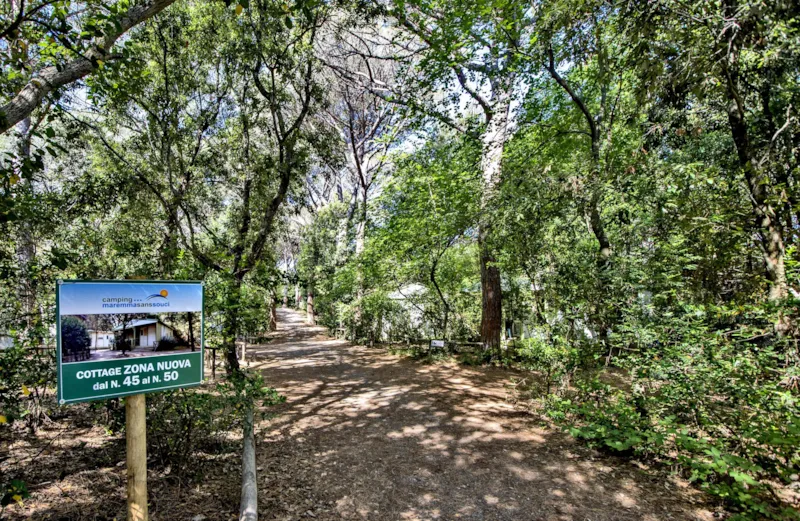 Emplacement Pour Tente