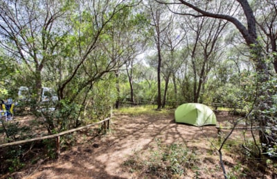PITCH FOR TENT — 6