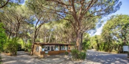 Camping Maremma Sans Souci - image n°73 - Roulottes