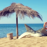 Foto #20 van Camping Maremma Sans Souci