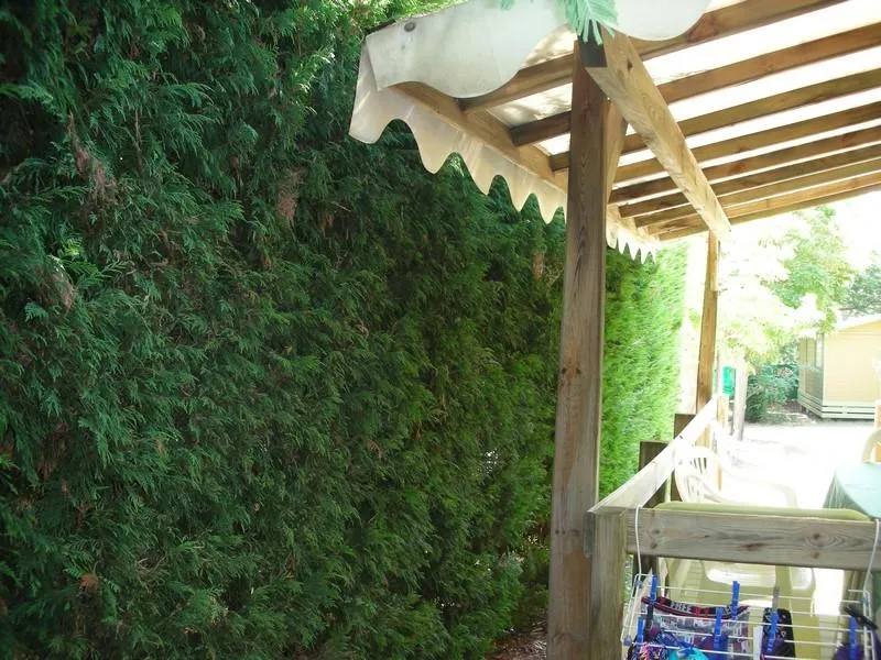 Mobil-Home Le Pellegrin -  Terrasse Couverte