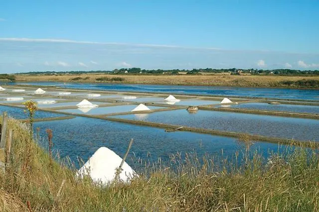 Capfun - Camping Le Cénic