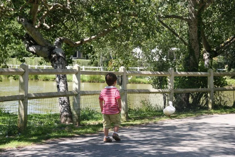 Capfun - Camping Le Cénic